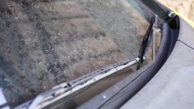 Cara Membersihkan Jamur Kaca Mobil Sendiri di Rumah dengan Bahan yang Aman dan Hasil Mengkilap